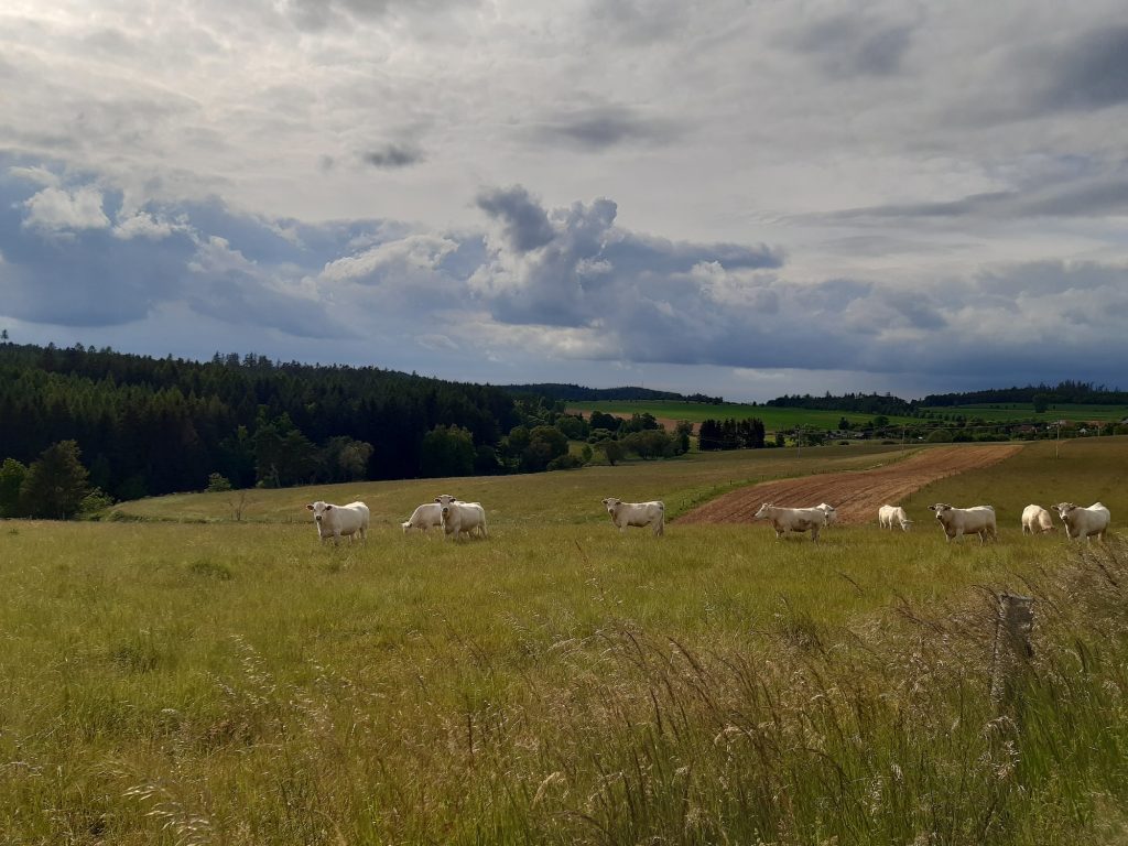 Stres? Kranio terapie může pomoct.