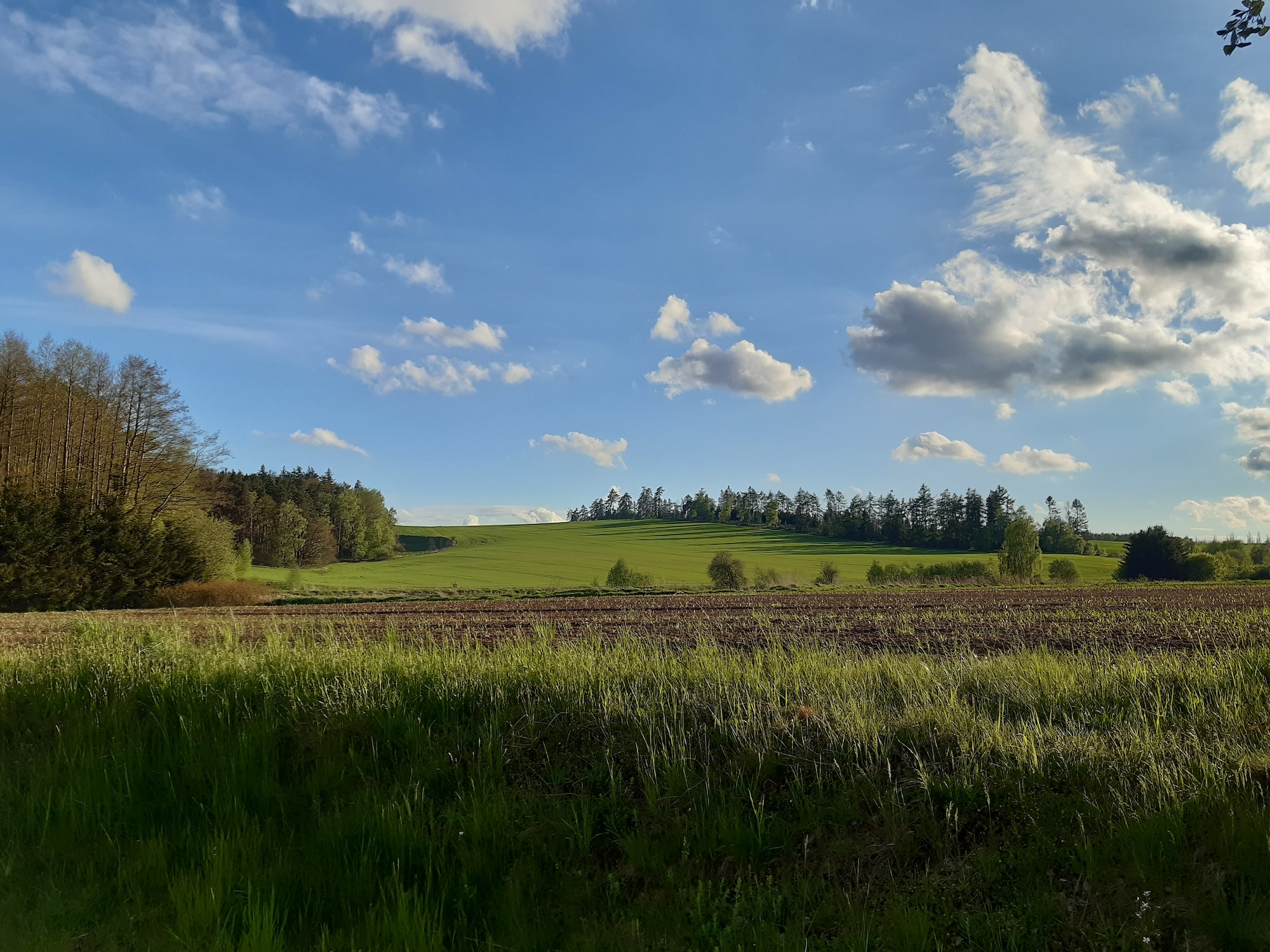 Bolest zad – kranio terapie pomáhá